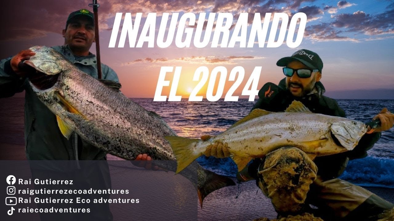 2024 PESCANDO CORVINAS