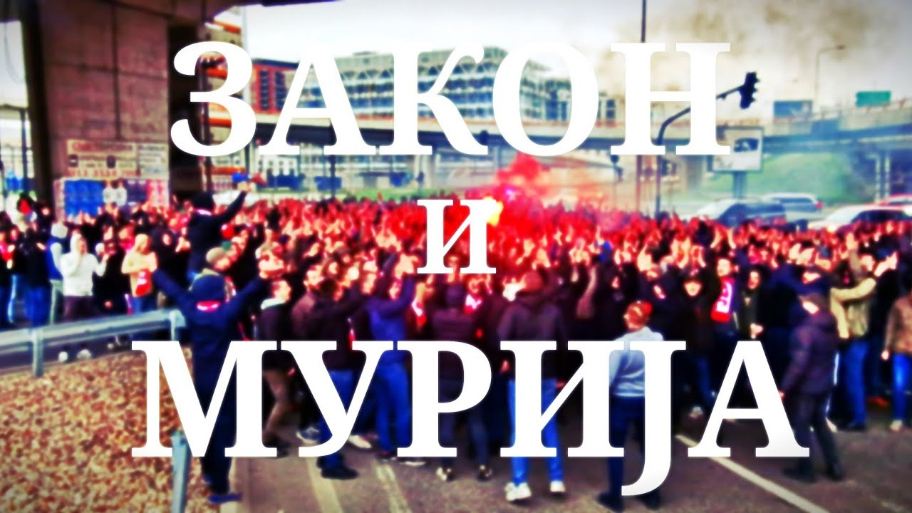 ДЕЛИЈЕ | ЗАКОН И МУРИЈА...