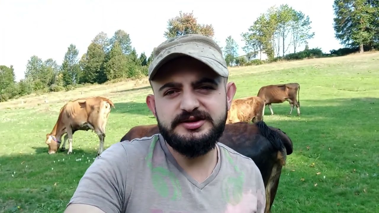 JERSEY İNEĞİ İLE TOPTAN VE PARAKENTE SÜT SATARAK PARA KAZANILIR MI.YERLİ HAYVANLAR  NEDEN OLMUYOR