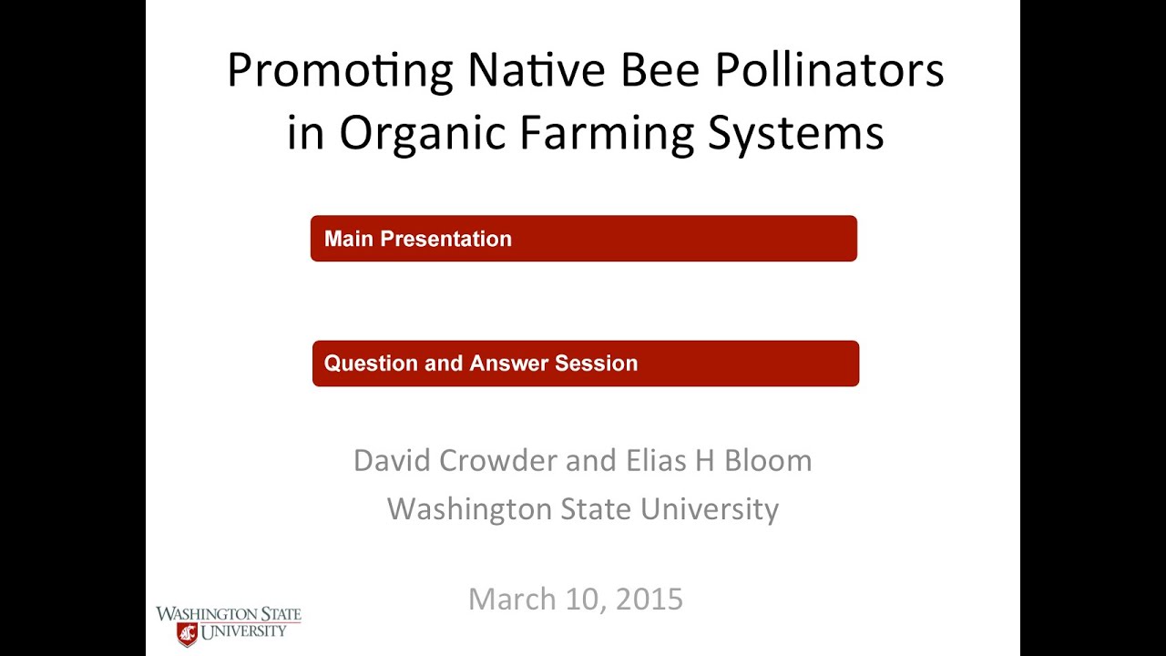 Promoting Native Bee Pollinators in Organic Farming Systems