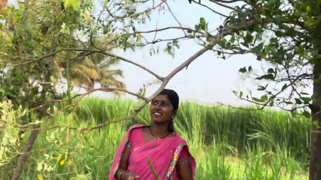 आमची झाडाची बाग कशी आहे 🏡🍃🪴#viralvideo #youtube #trending #funny #youtubeshorts 