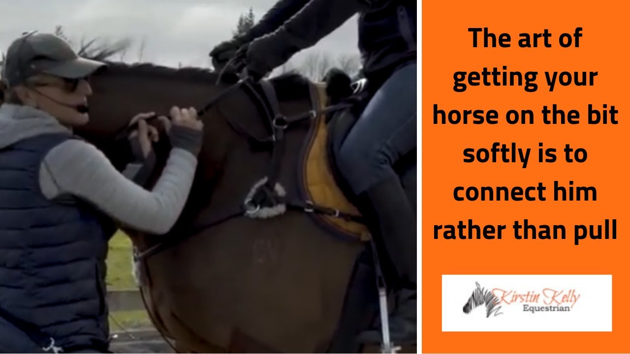 How to get your horse on the bit softly.