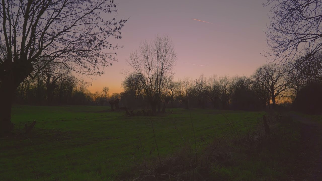 SILENT HABITAT &mdash; Twilight | D&auml;mmerung