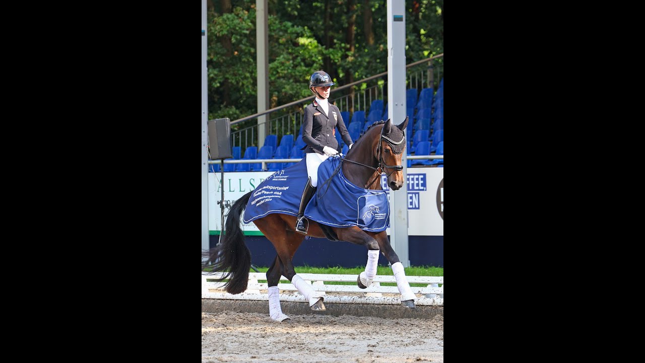 First Date OLD und Julie Sofie Schmitz-Heinen siegen mit Traumnote 9,3 beim Bundeschampionat
