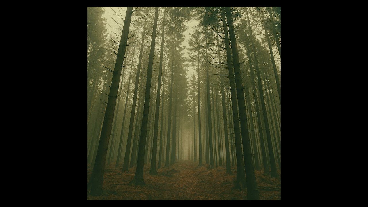 janfansen - doorgang (SF38)