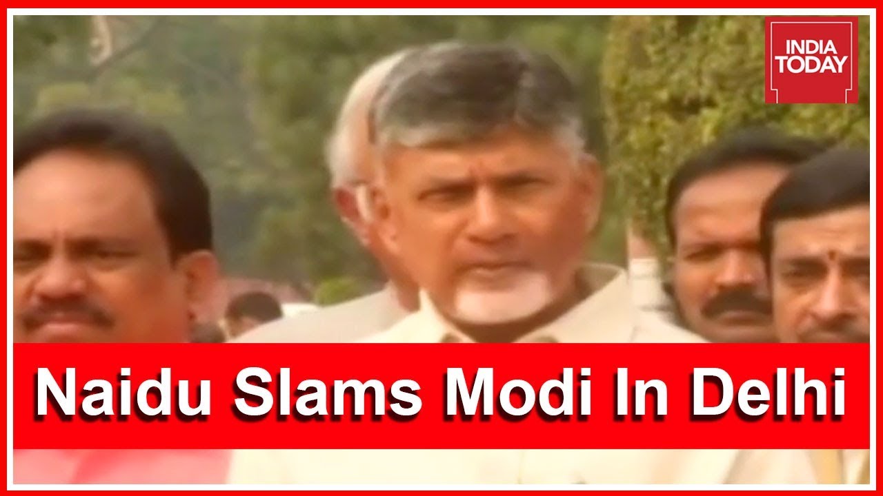 TDP Leaders Gather At Delhi's Vijay Chowk, CM Chandrababu Attacks Modi In Speech