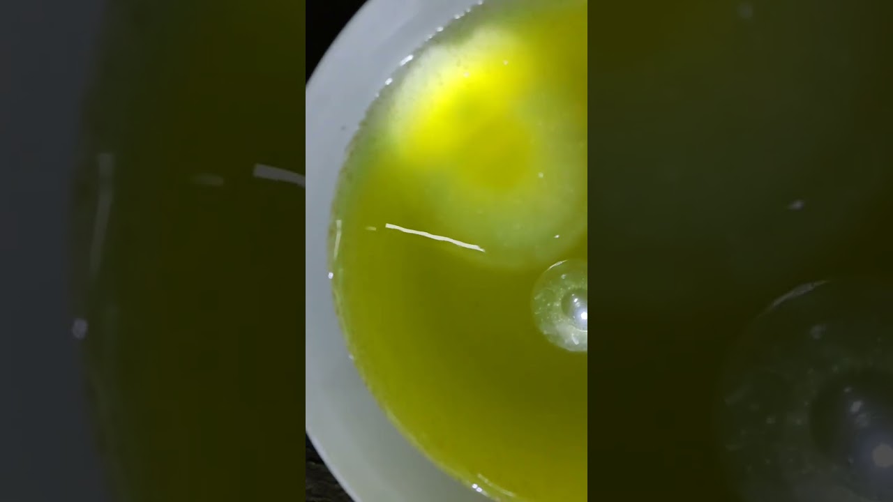 MOINA CULTURE BEST RESULT AND NO CRASH IN ..........?!!!!MUST WATCH FISHBREEDERS!!!!  #moinaculture