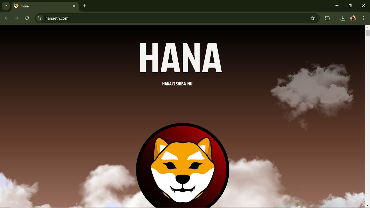 Is Hana (HANA) Token Legit Or a Scam ??