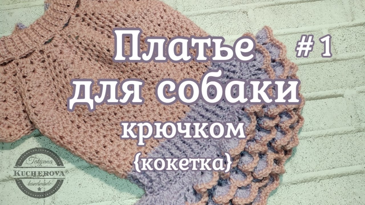 Платье для собаки, вязание крючком, часть 1 кокетка