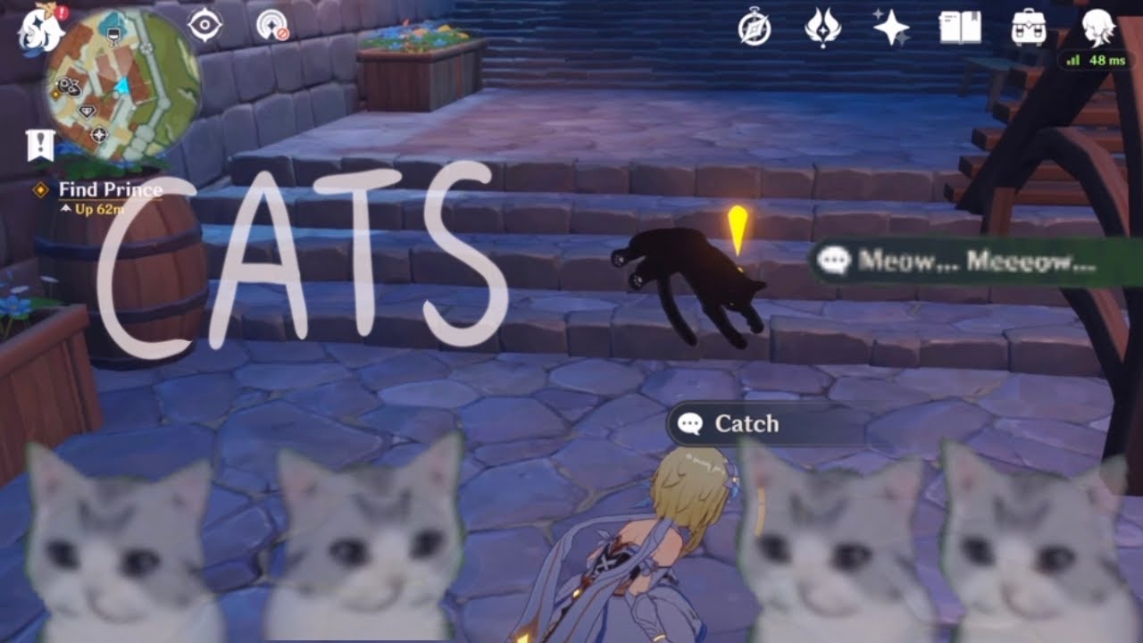 catching CATS in Genshin Impact!