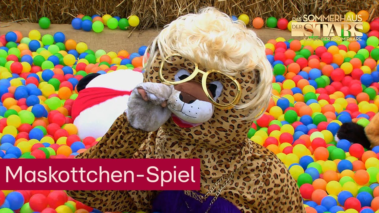 Die Frauen navigieren, die Männer machen zum Affen 🙊😂 | Das Sommerhaus der Stars