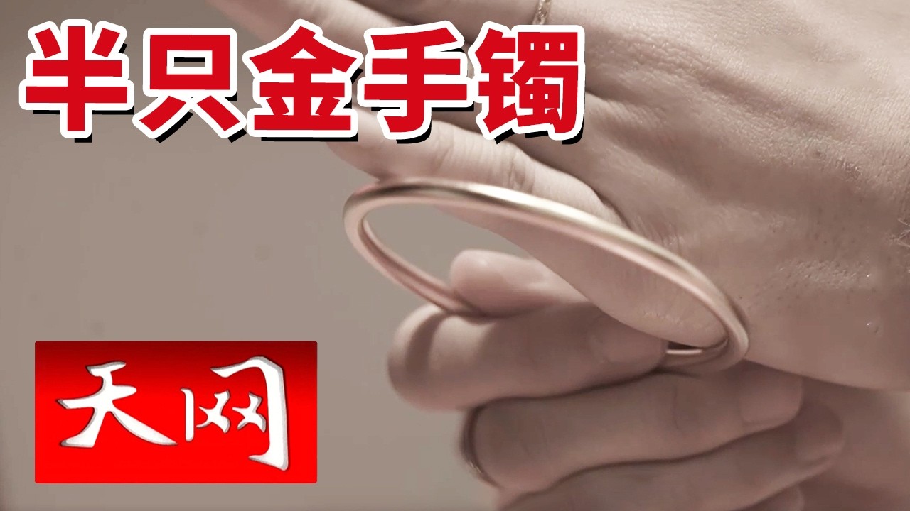 《天网》定情信物不翼而飞 “完美”现场竟是身边人的精心伪造？20260210
