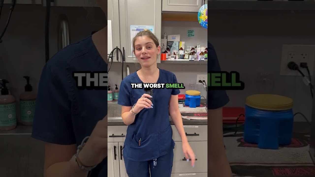 Worst Smells in a Vet Hospital👃