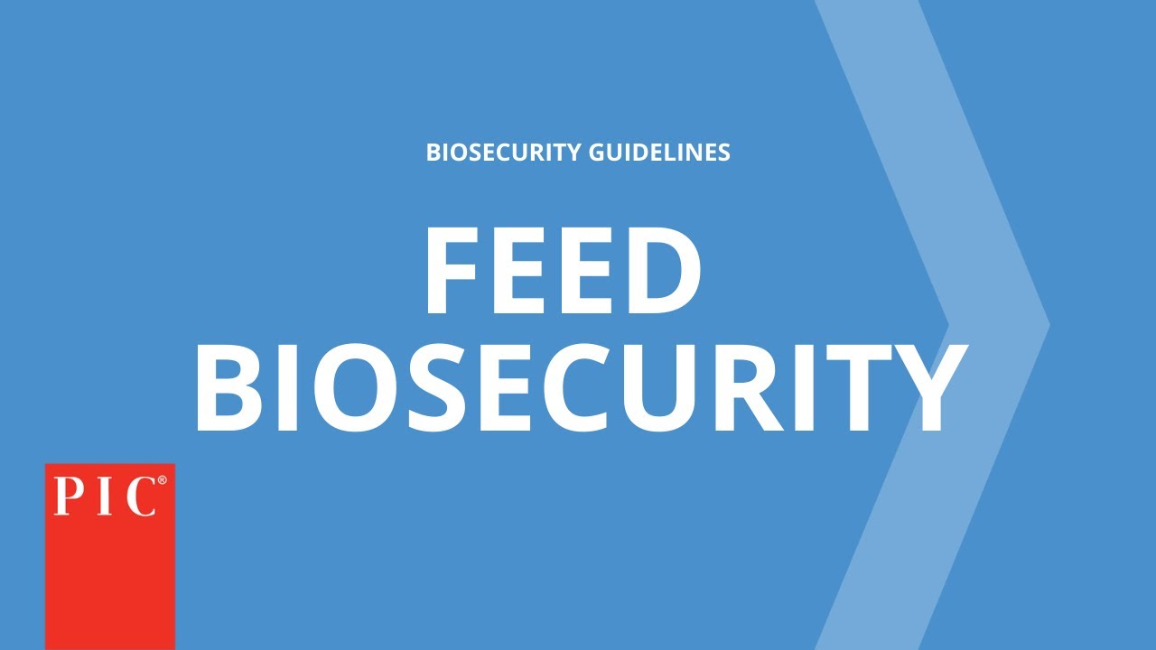 Feed Biosecurity | Pig Improvement Company