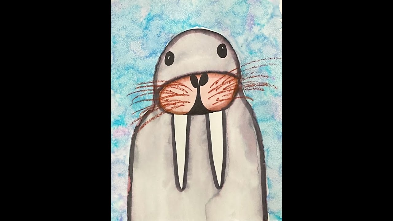 Walrus