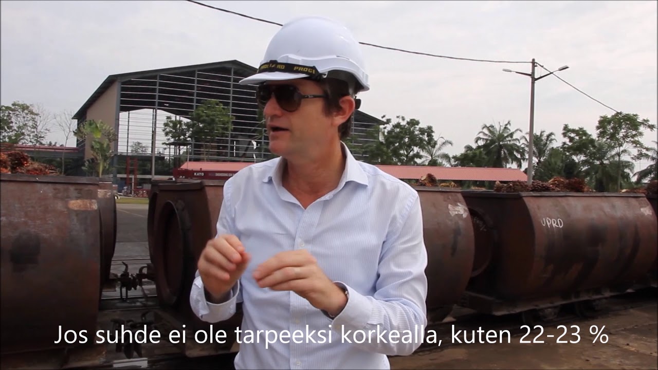 Red palm oil, syy miksi Bonred on korkeatasoista.
