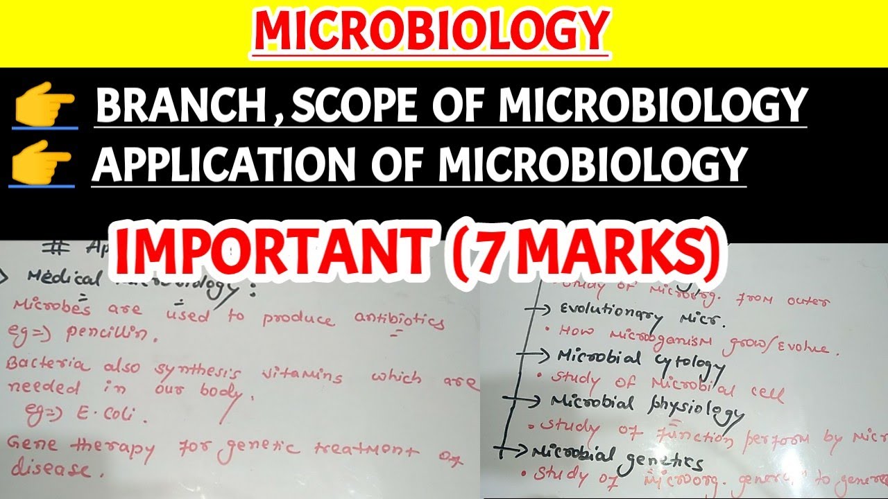 Branches scope and importance of microbiology || Application of microbiology || Pharma lectures ||