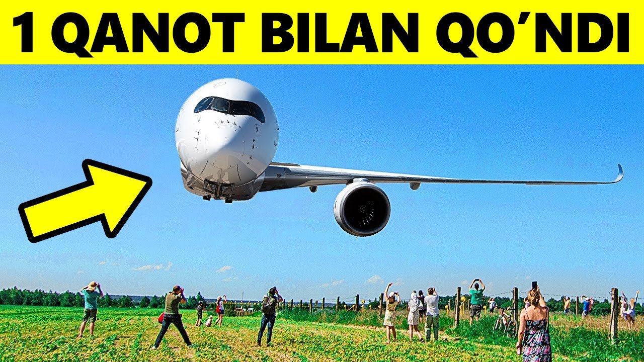 Bir Qanot Bilan Qo'ngan Samalyot