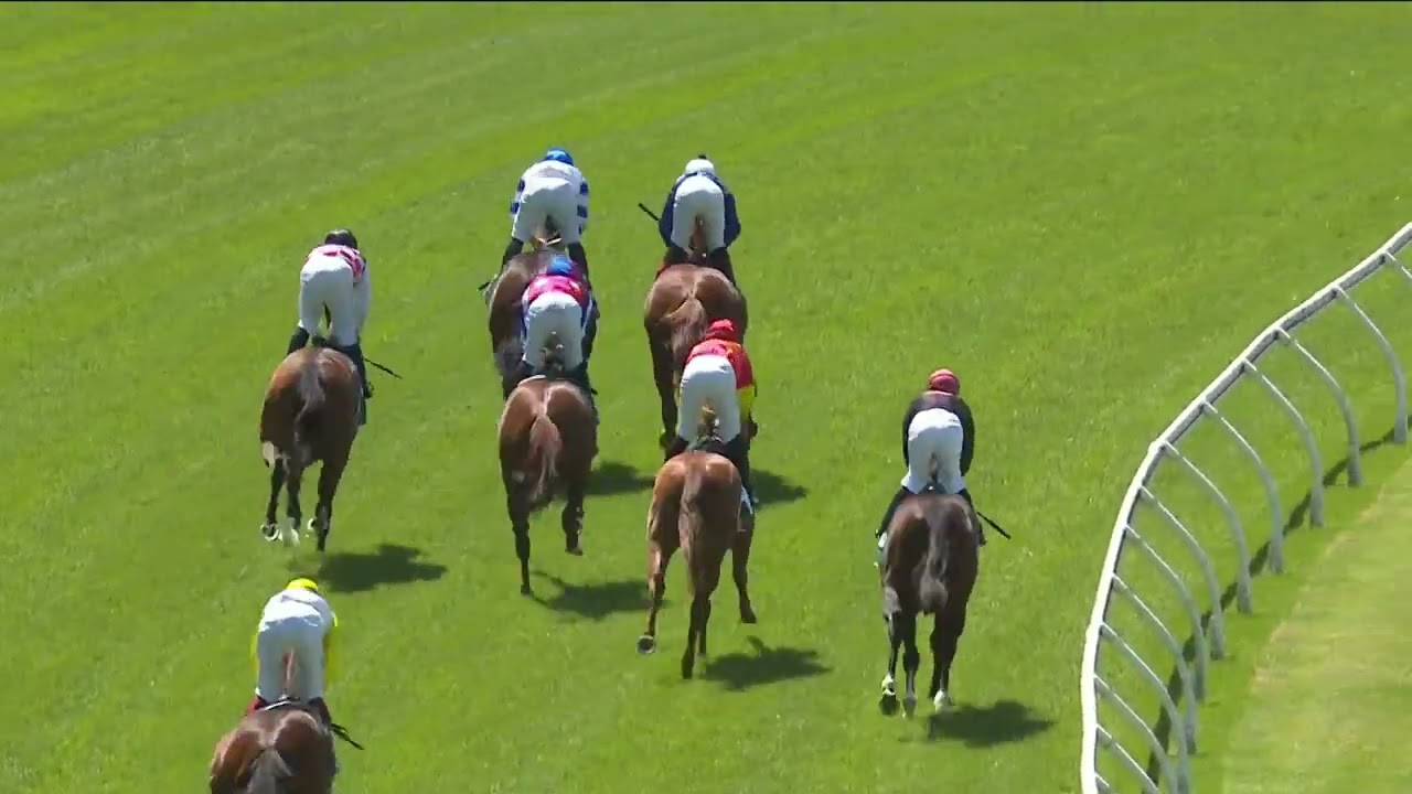 Kovalica  wins at Warwick Farm