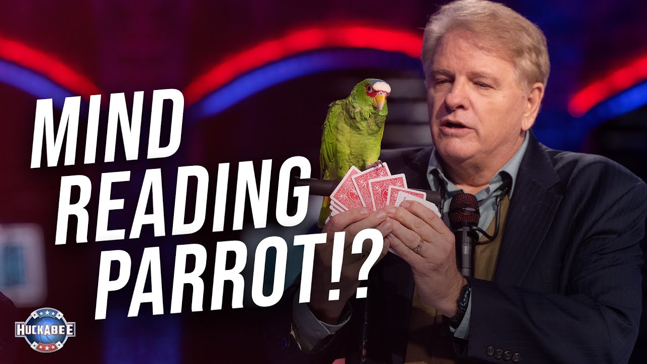 Luigi the MAGIC Parrot and Dana Daniels | Jukebox | Huckabee