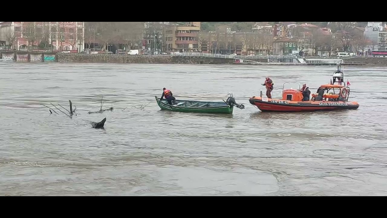 Tempestade Kristin - Salvamento de embarca&ccedil;&atilde;o, no Rio Douro, &agrave; deriva presa a uma &aacute;rvore.