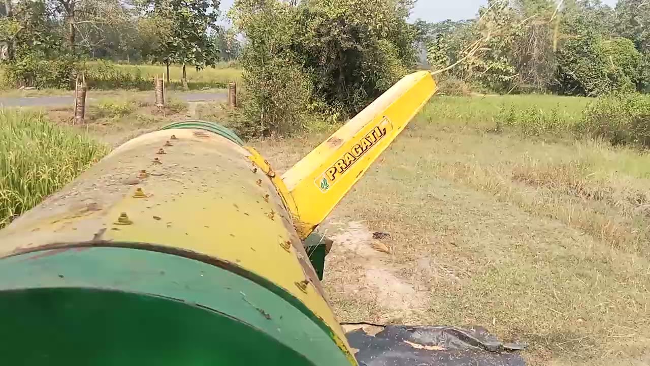 pragati paddy thrashes with kubota tractor 🚜🚜🚜🚜🚜#odishafarming