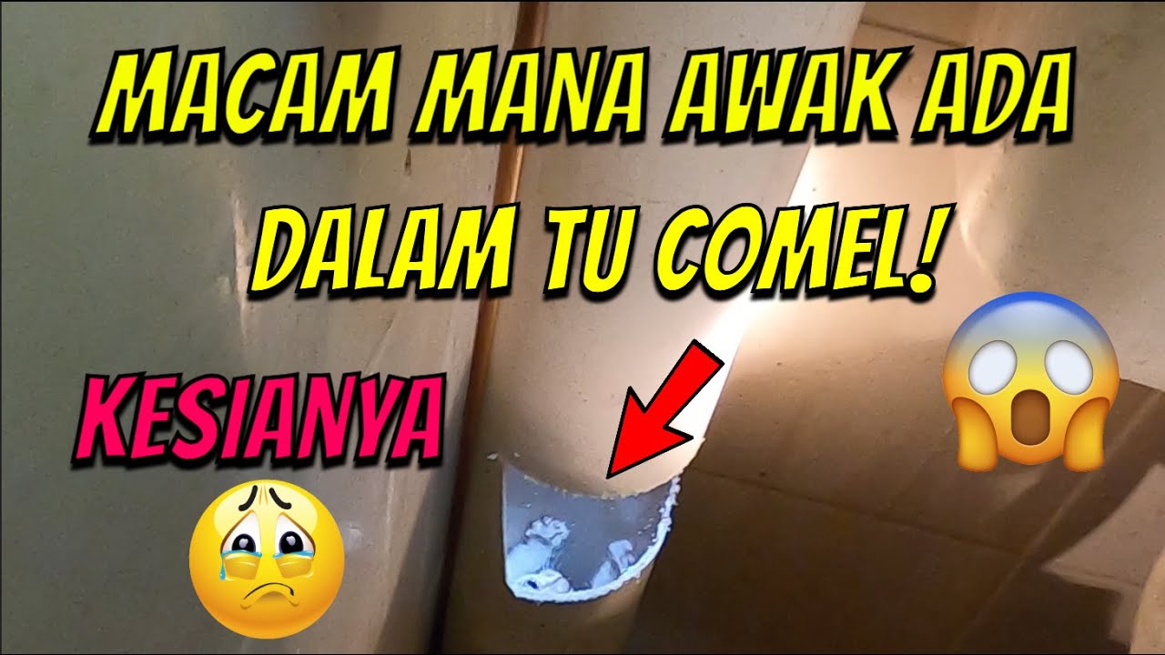 RAYA KEDUA AKAK & ABANG BOMBA BERSAMA KUCING COMEL,MACAM MANA LA AWAK BOLEH MASUK DALAM TU COMEL..