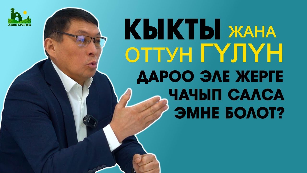 Биогумустун  келечеги? Кайсы өсүмдүк менен бренд боло алабыз? Оттун гүлүн колдонсо болобу? Пайдасы?