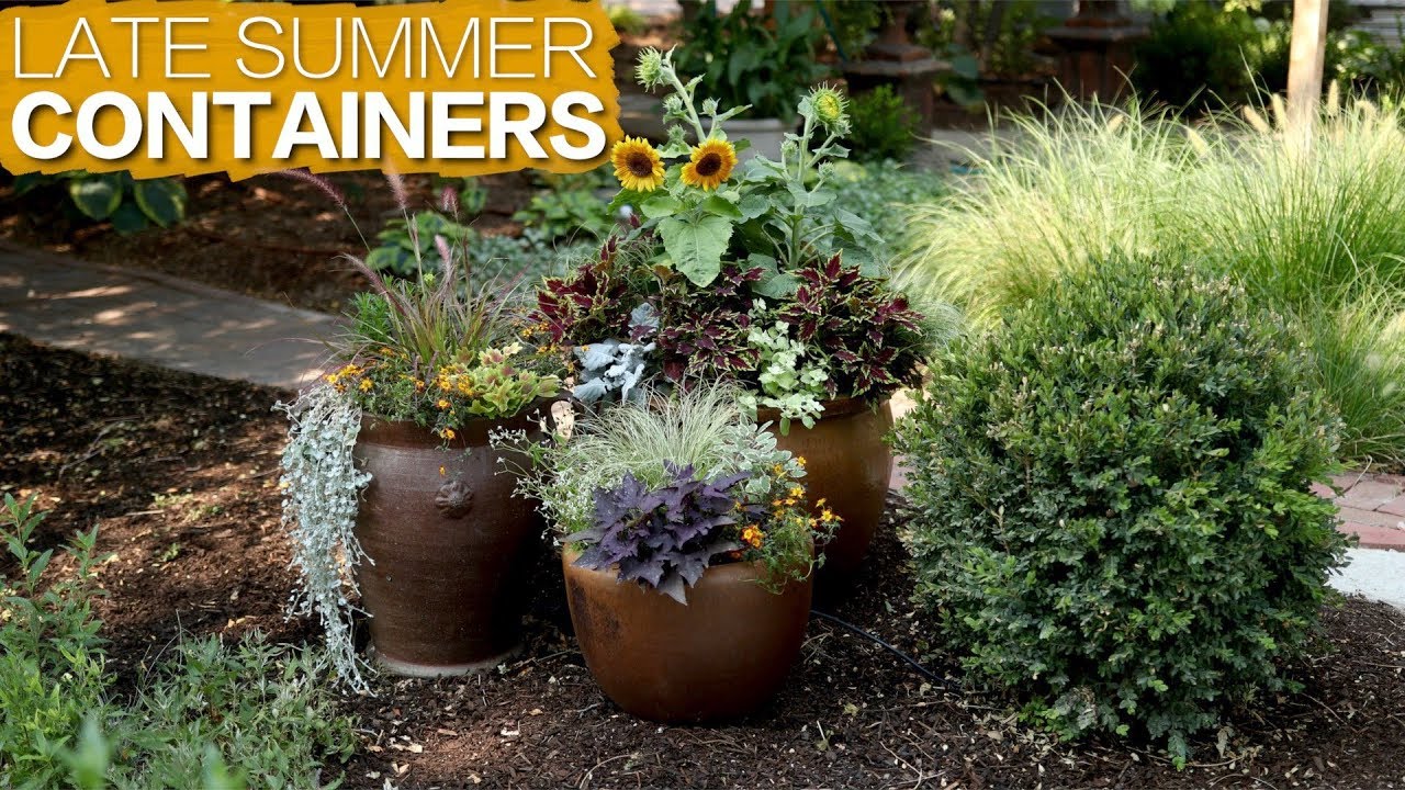 Late Summer Containers 🌿 // Garden Answer