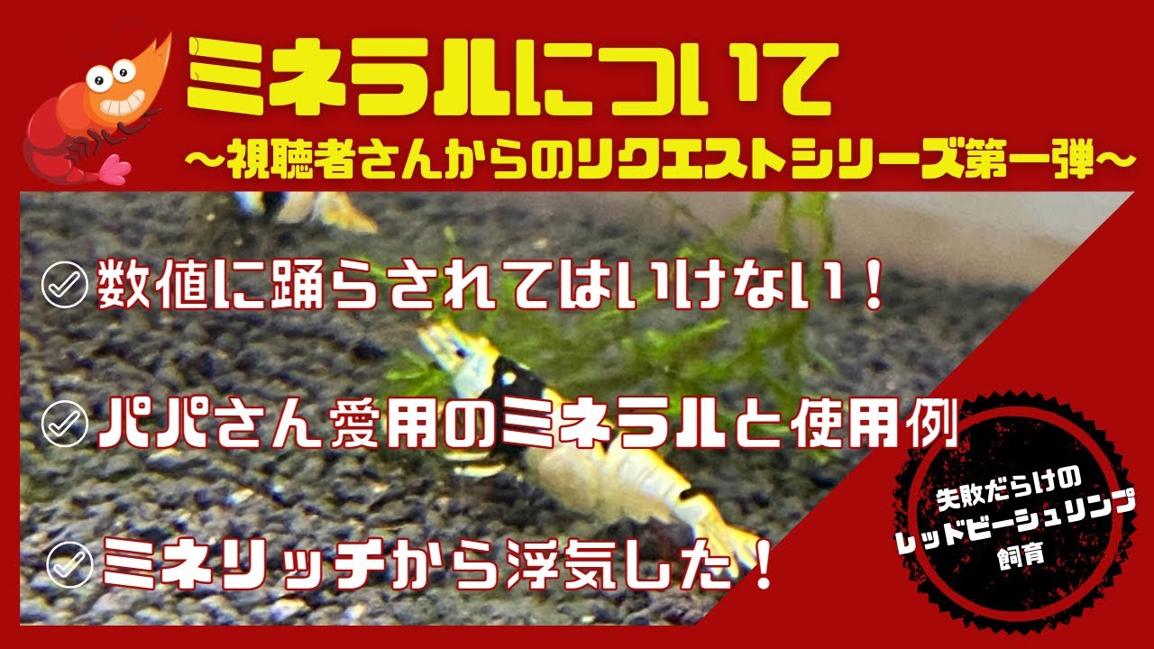 レッドビーシュリンプ飼育におけるミネラルについて〜数値に踊らされてはいけない〜