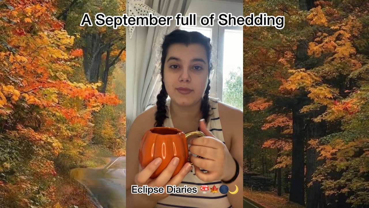 Eclipse Season Reflections 🌑🥀✨| Eclipse Season Diaries 