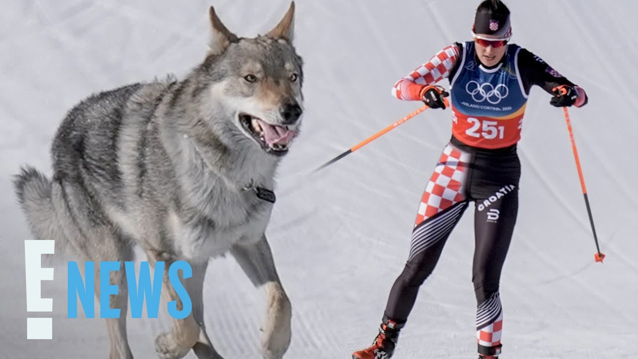 Olympics 2026: Dog Unexpectedly Crashes Cross-Country Ski Race | E! News