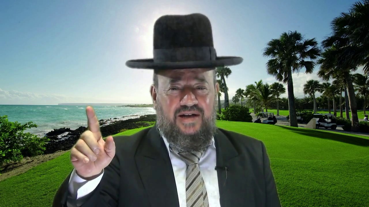 הרב דוד הכהן -  פרשת נח, למה אוכלים בשר - rabbi david hacohen