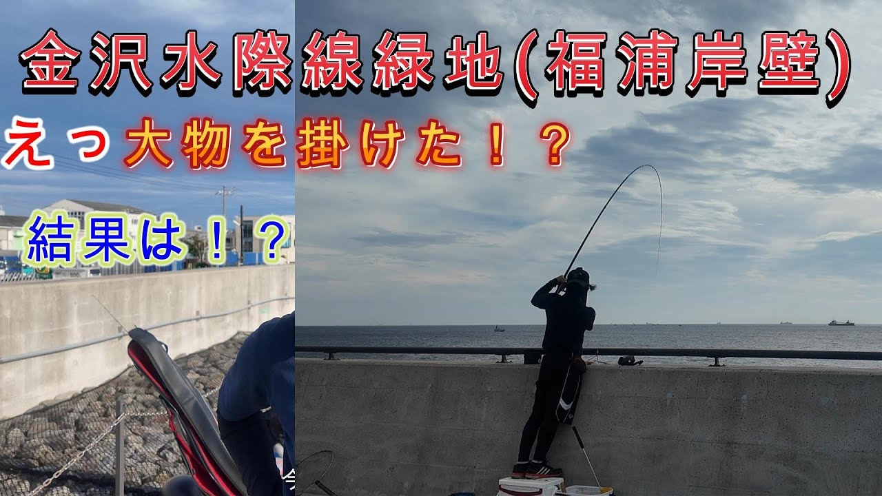 【金沢水際線緑地(福浦岸壁)】神奈川県横浜市金沢区・金沢水際線緑地(福浦岸壁)釣果。2025/8/30~31・9/12フカセ釣りで大物を掛けた！？魚影が濃すぎる！？