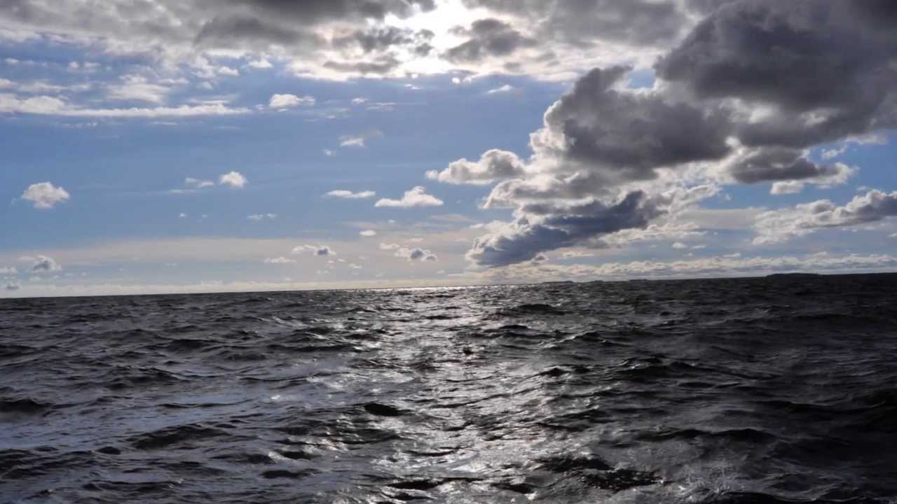 Purjevene. Mies merell&auml;. Merimaisema. Sailing boat trip.