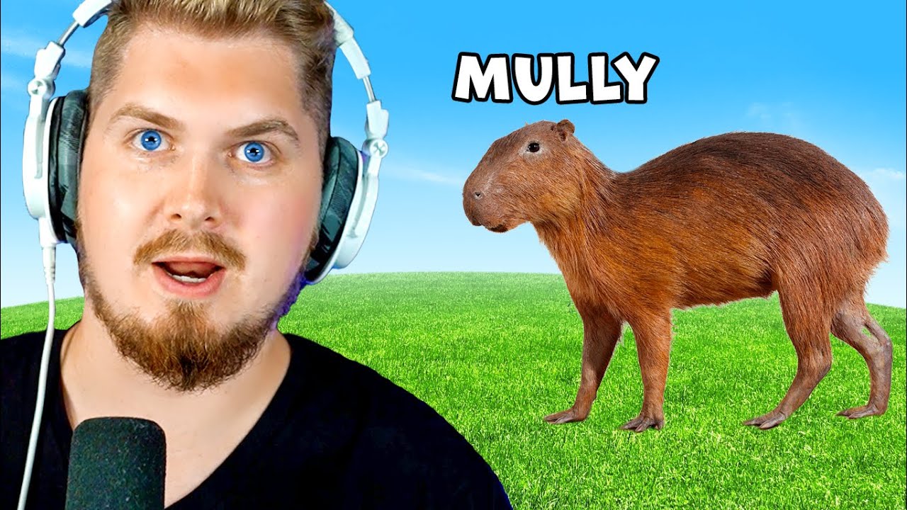 Симулятор австралийской крысы [Roblox Capybara]