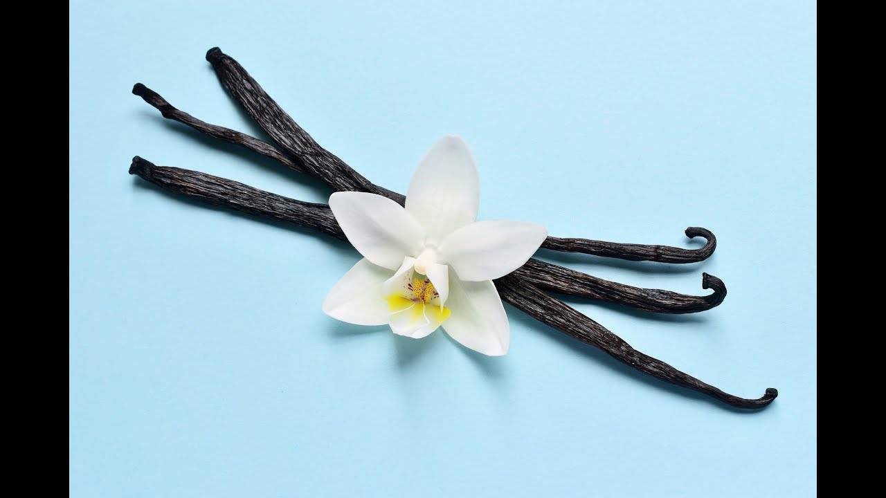 🇫🇷/🇬🇧Top 20 vanilla scents part 1 (from number 20 to 11). French language with English subtitles😁