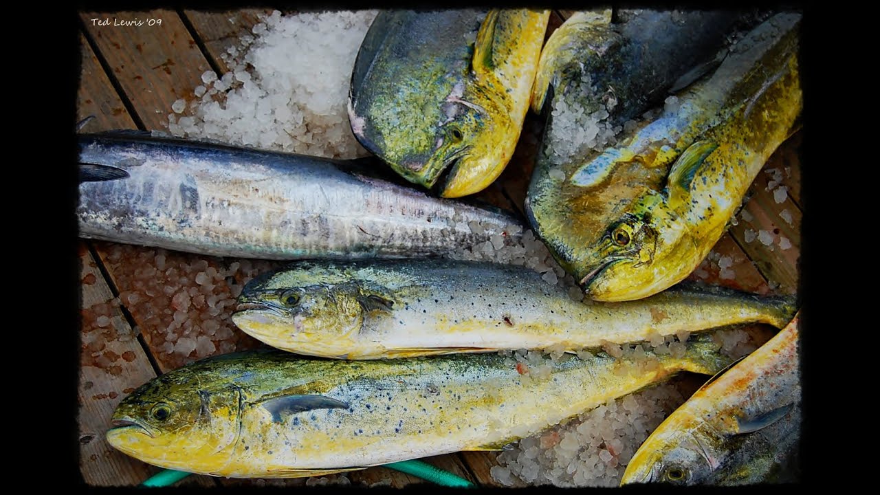 Downtown Morehead City - Morehead City 's Fishing Industry
