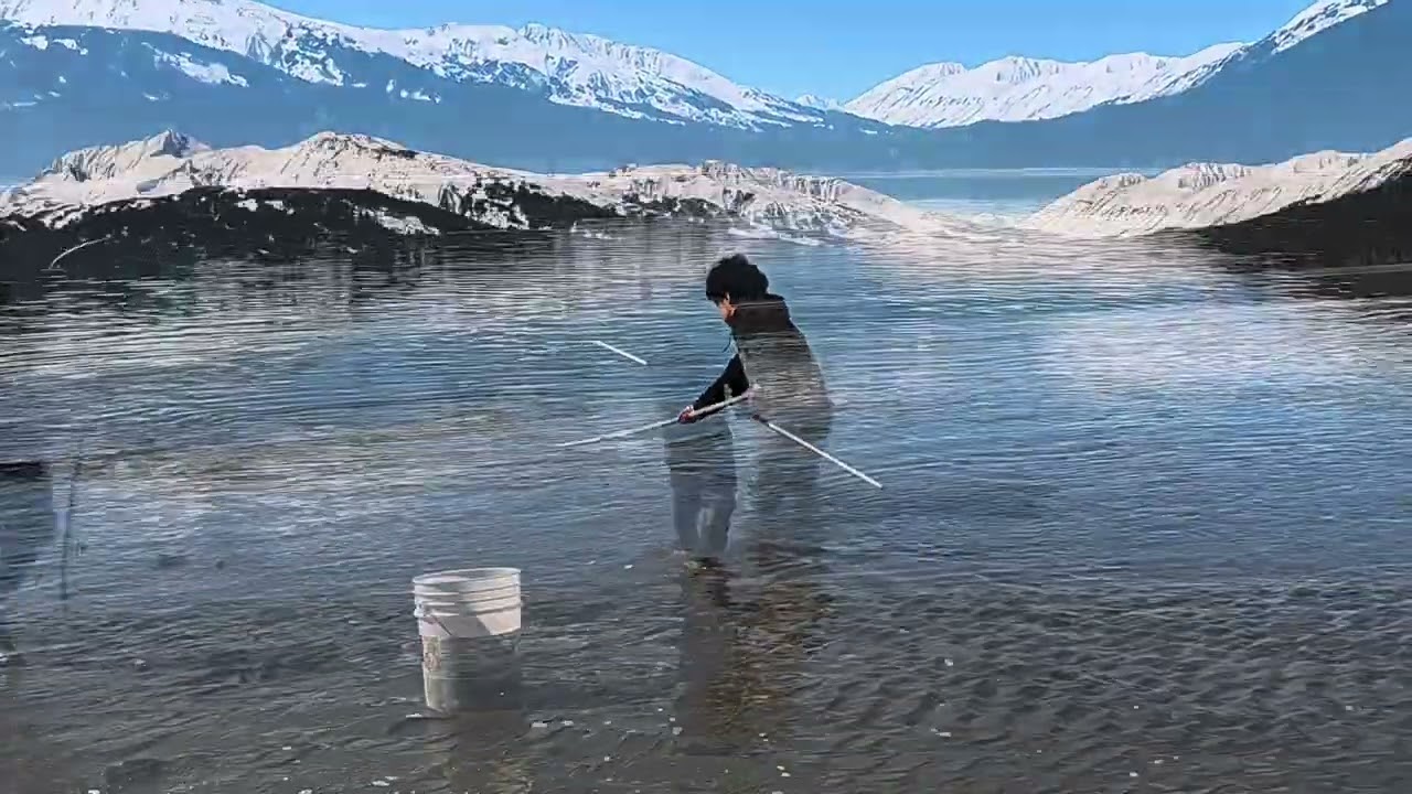 How to do Hooligan Fishing in Alaska #hooligan #fishing #alaska