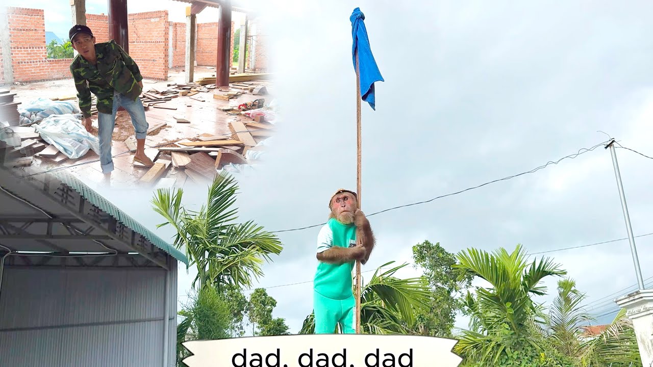 So Smart!CUTIS’ Way of Signaling Dad to Come Home Gets Praise