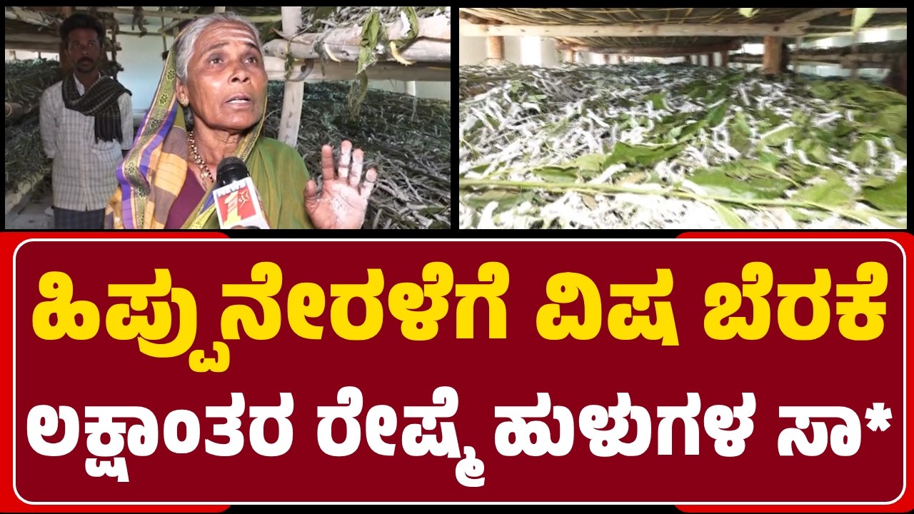 Hanumavva Patil : ವರ್ಷಗಟ್ಟಲೇ ಕಷ್ಟಪಟ್ಟು ರೇಷ್ಮೆ ಸಾಕಿದ್ವಿ, ಈಗ ಎಲ್ಲವೂ ನಾಶವಾಗಿದೆ ಸರ್ಕಾರ ಸಹಾಯ ಮಾಡಲಿ |