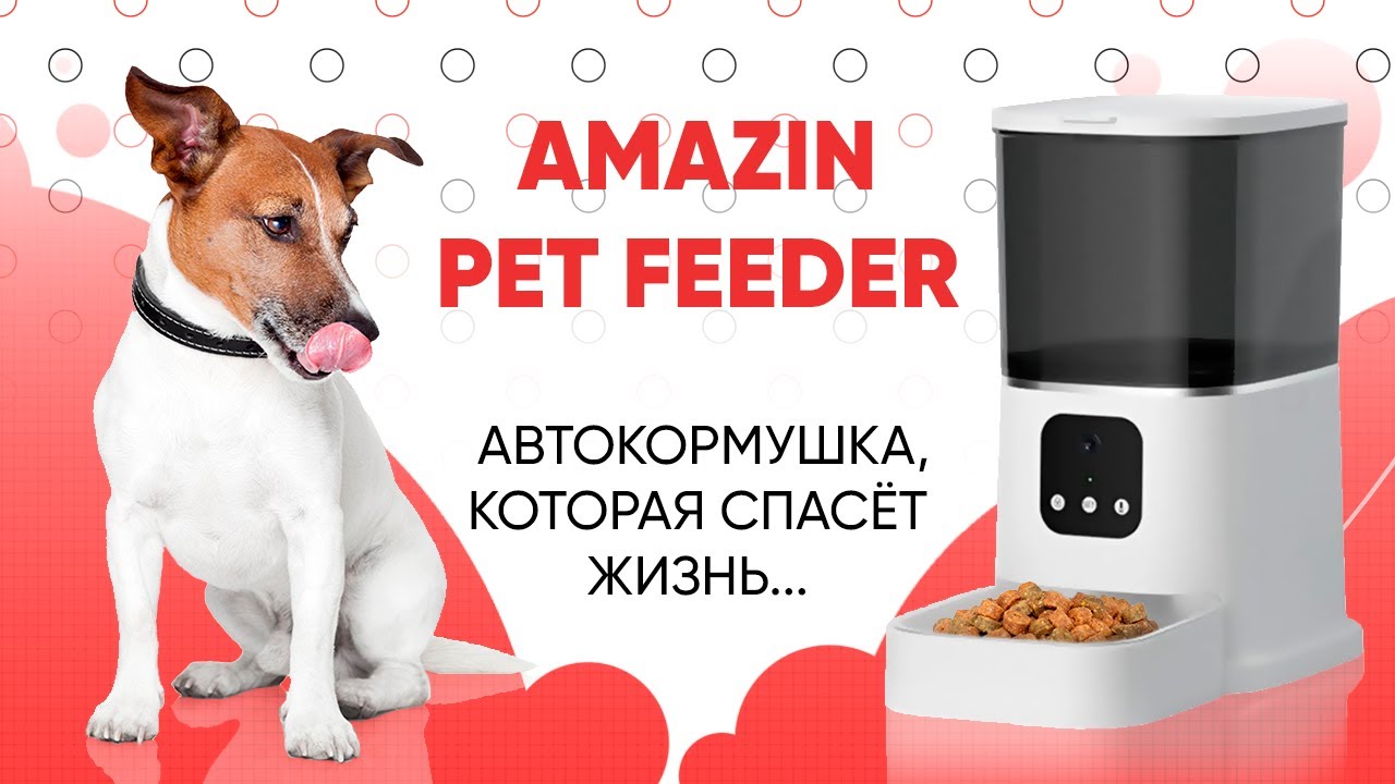 Amazin Pet Feeder &ndash; обзор уникальной автокормушки | Amazin.su