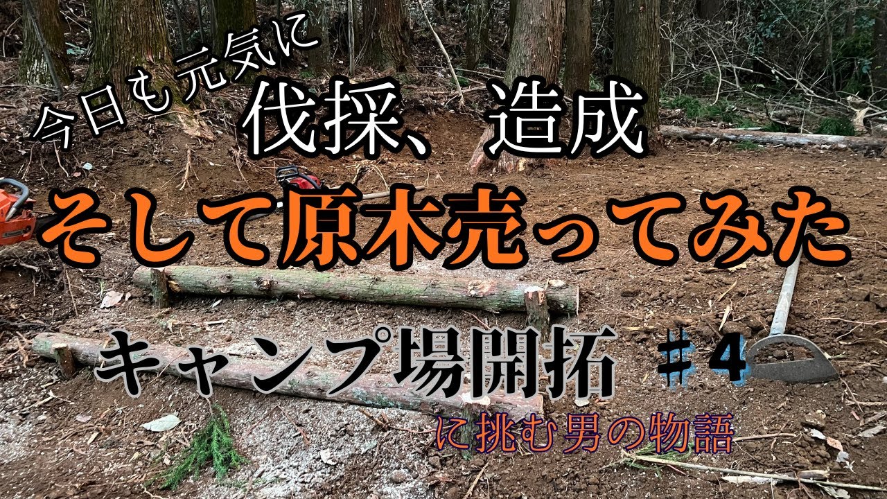 杉の原木売ってみた。キャンプ場開拓#4
