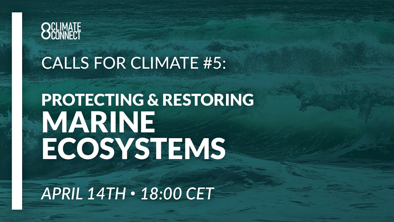 Calls for Climate #5 — Protecting & Restoring Marine Ecosystems