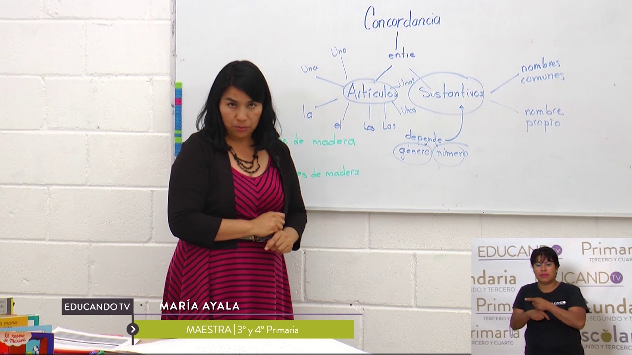 Primaria 3º y 4º clase: 148 Tema: Concordancia entre artículos y sustantivos