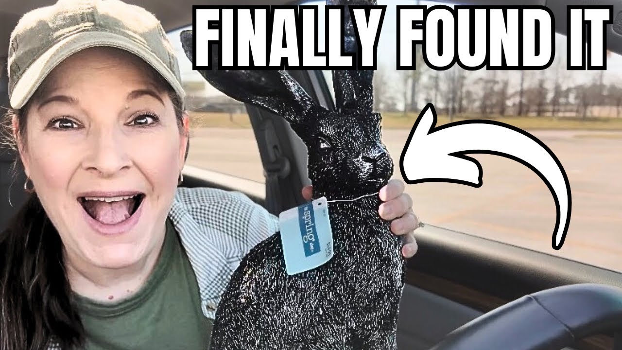 A Real Day in My Life… and I Finally Found What I’ve Been Hunting For 🐰