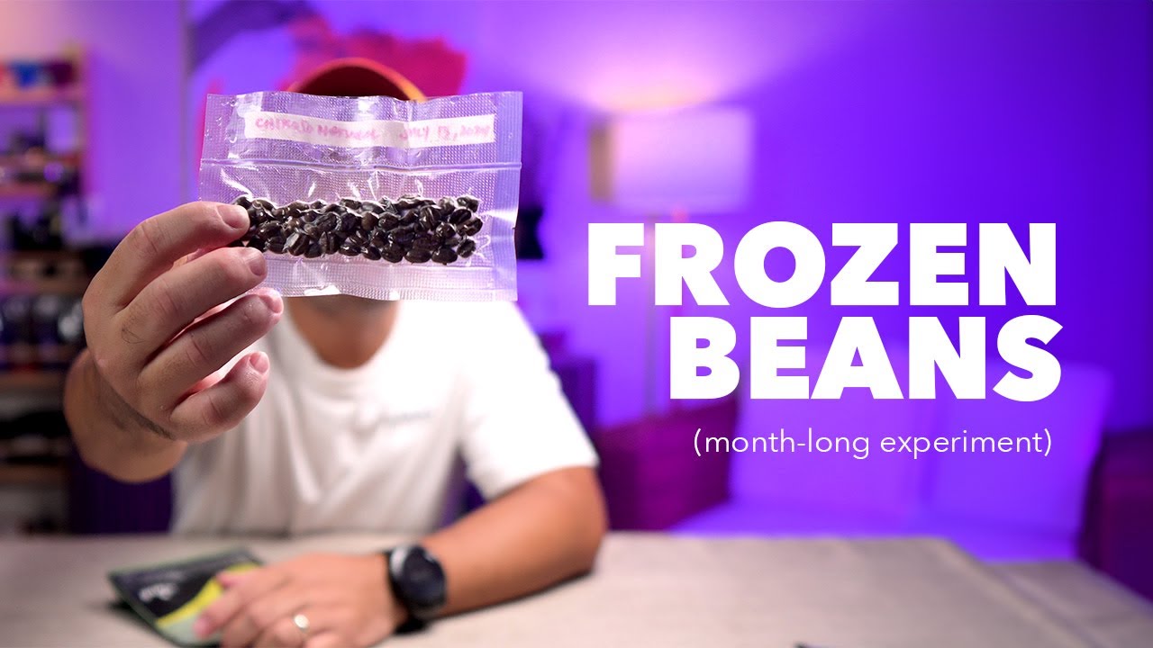 Frozen Coffee Beans: A month-long experiment on coffee storage
