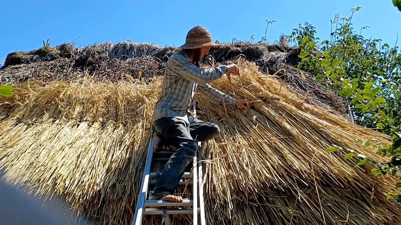 Thatching with rye straw. Part 3:Fastening the straw onto the roof
