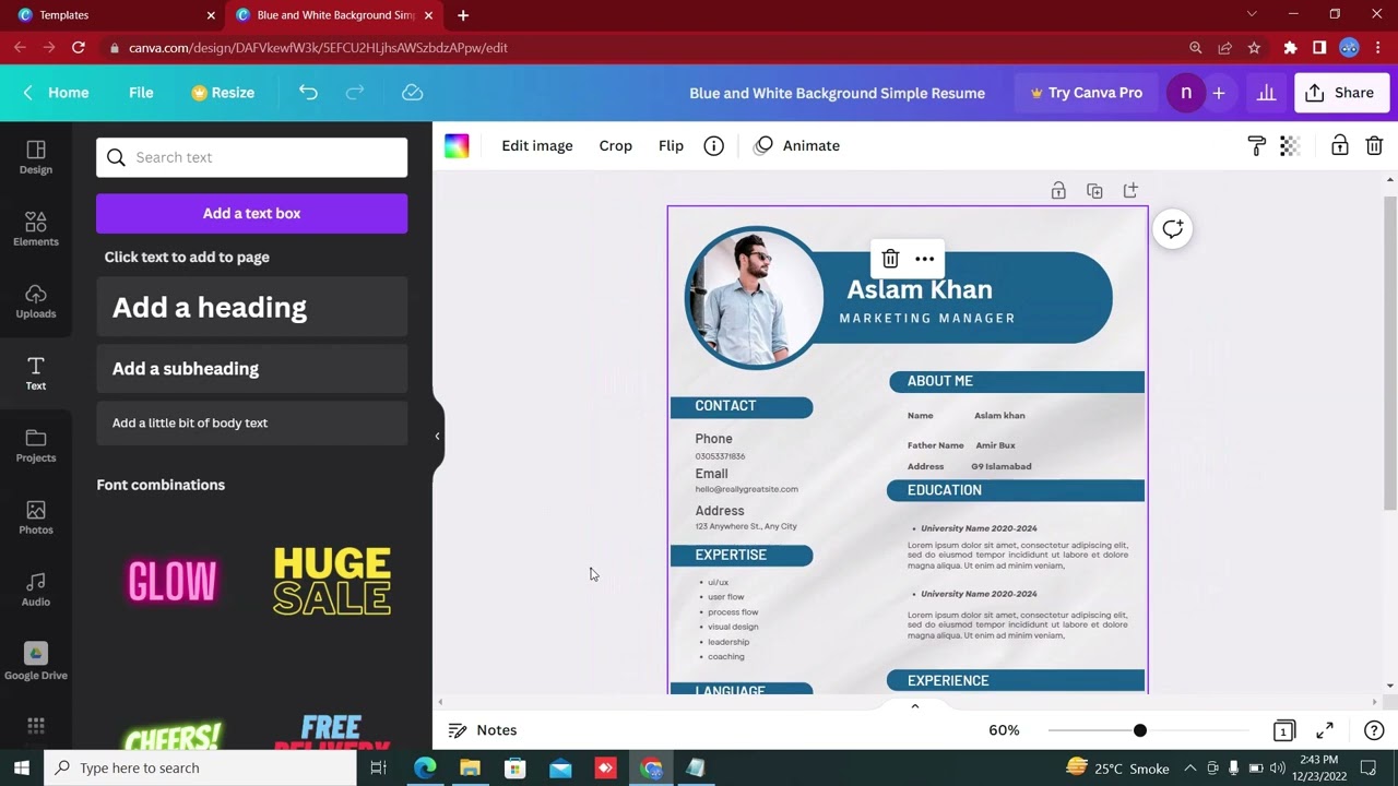 How to Make Resume CV and Resume Module 6, Canva Full Detail Course Part 6