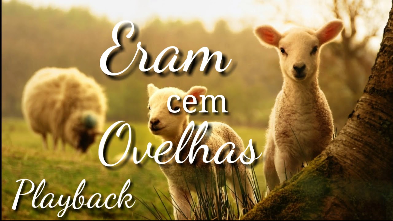 Playback Eram cem ovelhas